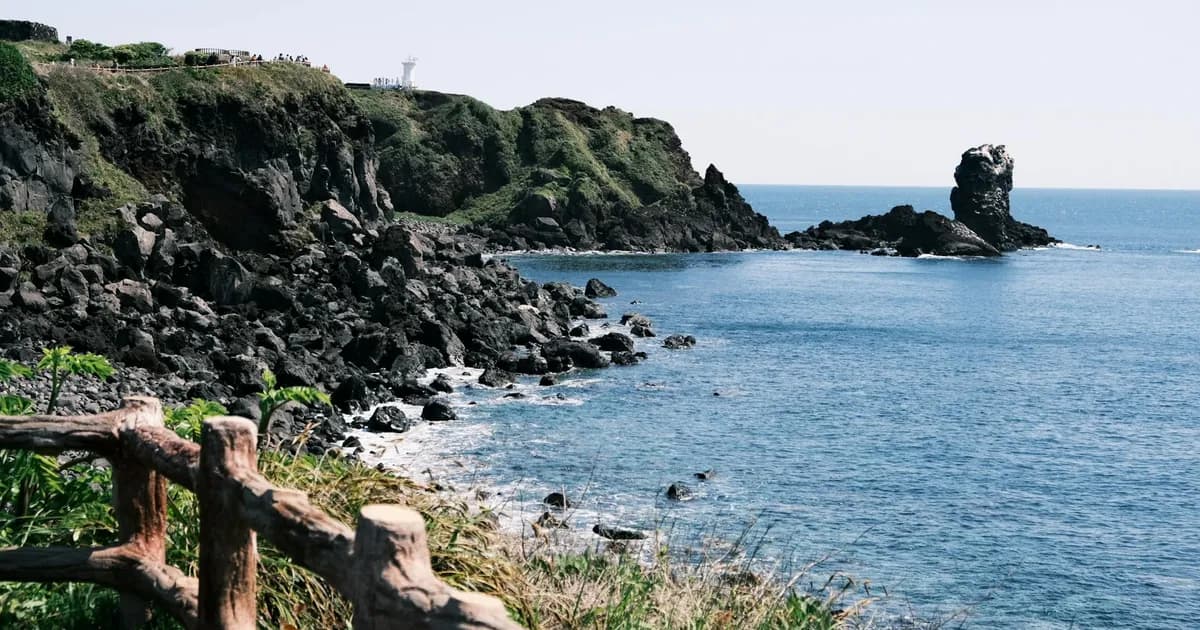 Jeju Island Korean seafood black pork